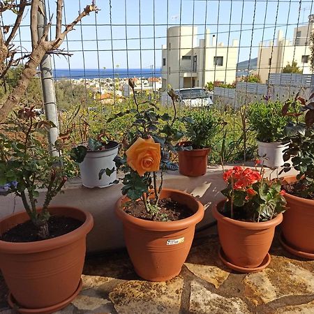 Airport Family House Διαμέρισμα Αρτέμιδα Εξωτερικό φωτογραφία