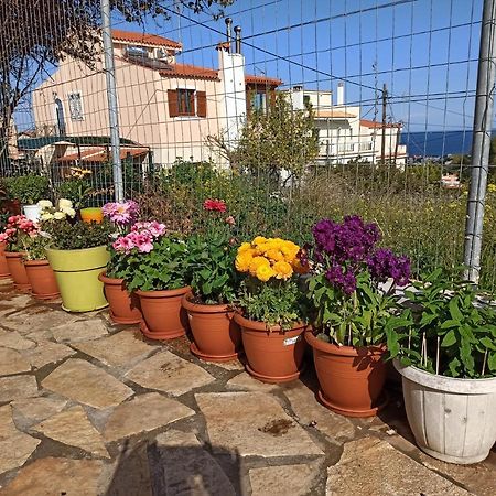 Airport Family House Διαμέρισμα Αρτέμιδα Εξωτερικό φωτογραφία