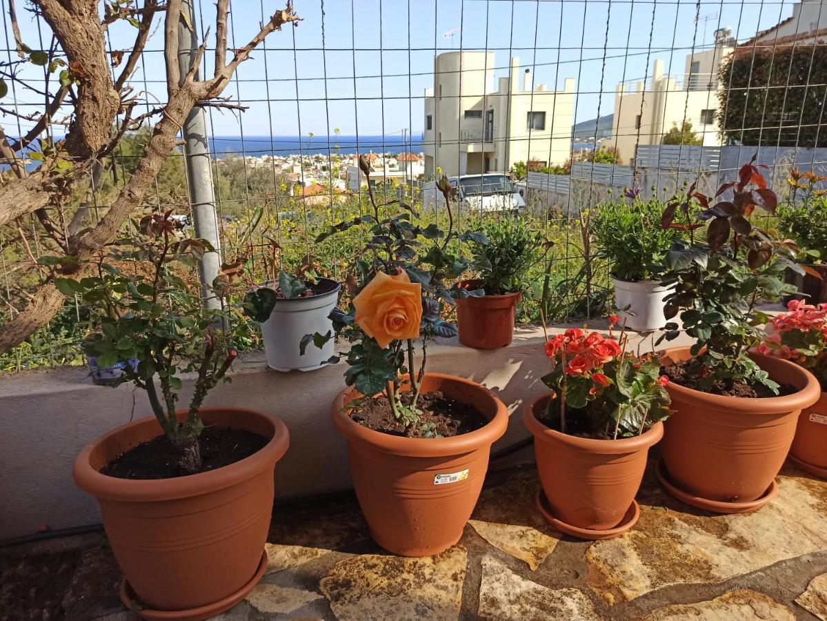 Airport Family House Διαμέρισμα Αρτέμιδα Εξωτερικό φωτογραφία