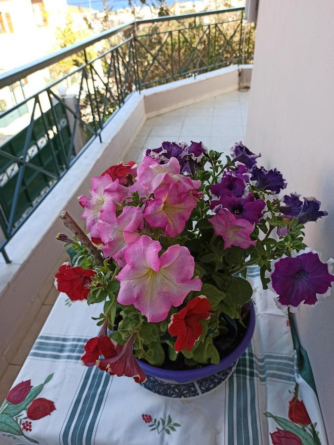 Airport Family House Διαμέρισμα Αρτέμιδα Εξωτερικό φωτογραφία