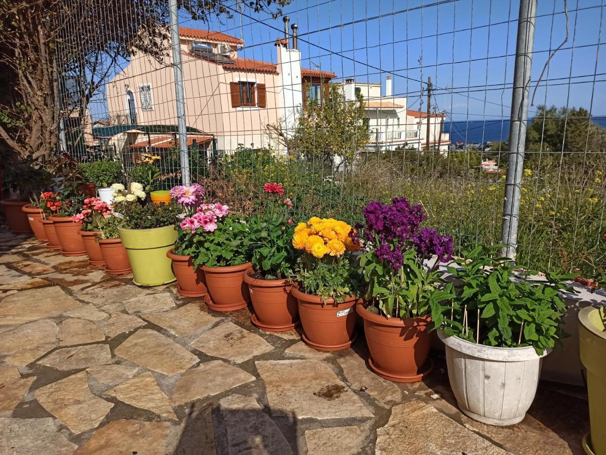Airport Family House Διαμέρισμα Αρτέμιδα Εξωτερικό φωτογραφία