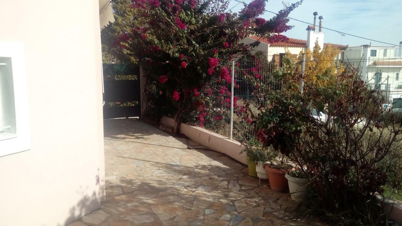 Airport Family House Διαμέρισμα Αρτέμιδα Εξωτερικό φωτογραφία