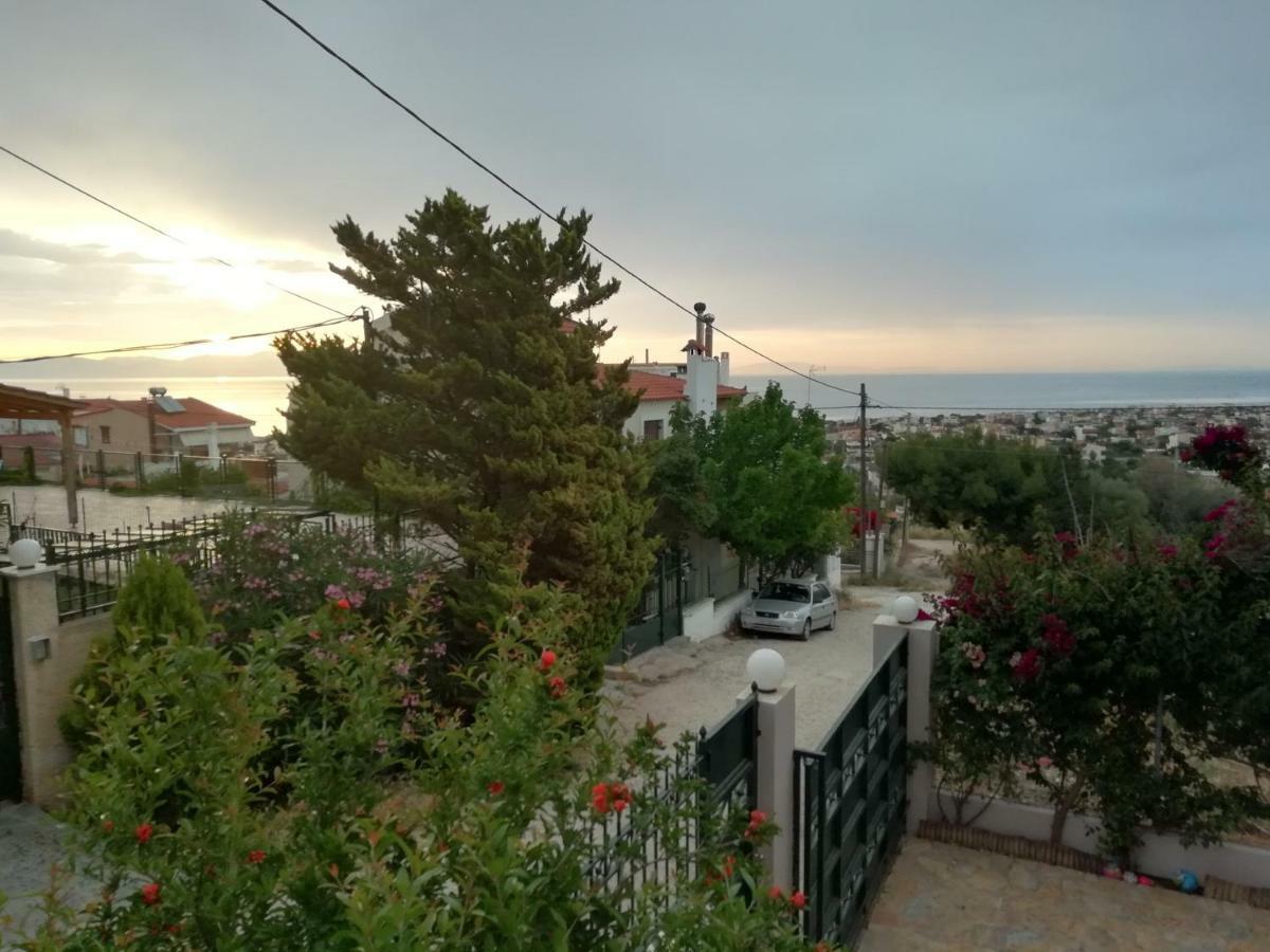Airport Family House Διαμέρισμα Αρτέμιδα Εξωτερικό φωτογραφία