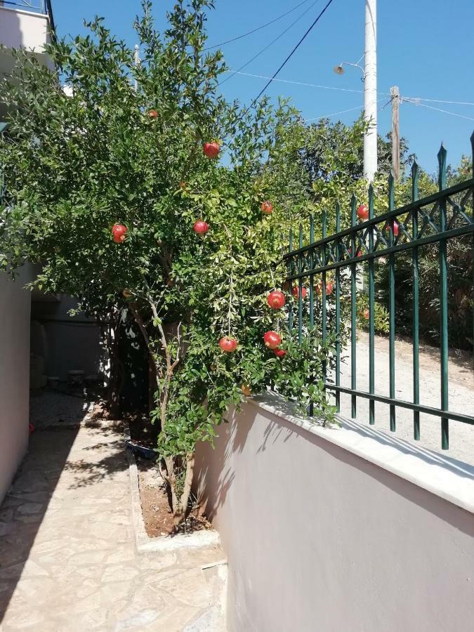 Airport Family House Διαμέρισμα Αρτέμιδα Εξωτερικό φωτογραφία